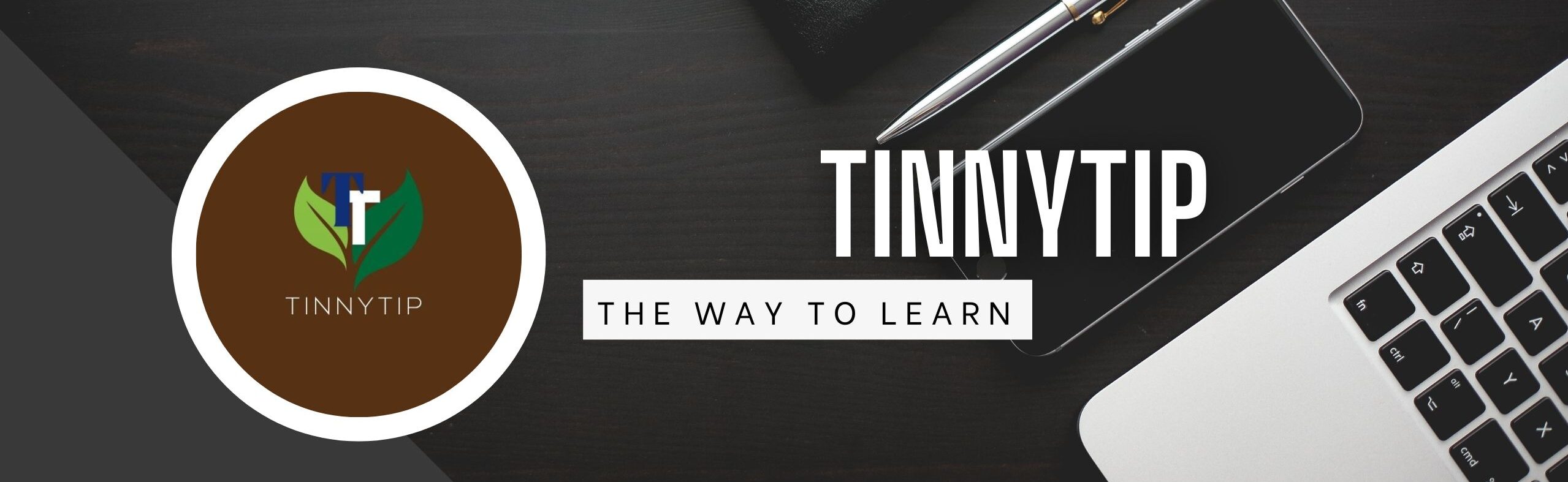 TINNYTIP